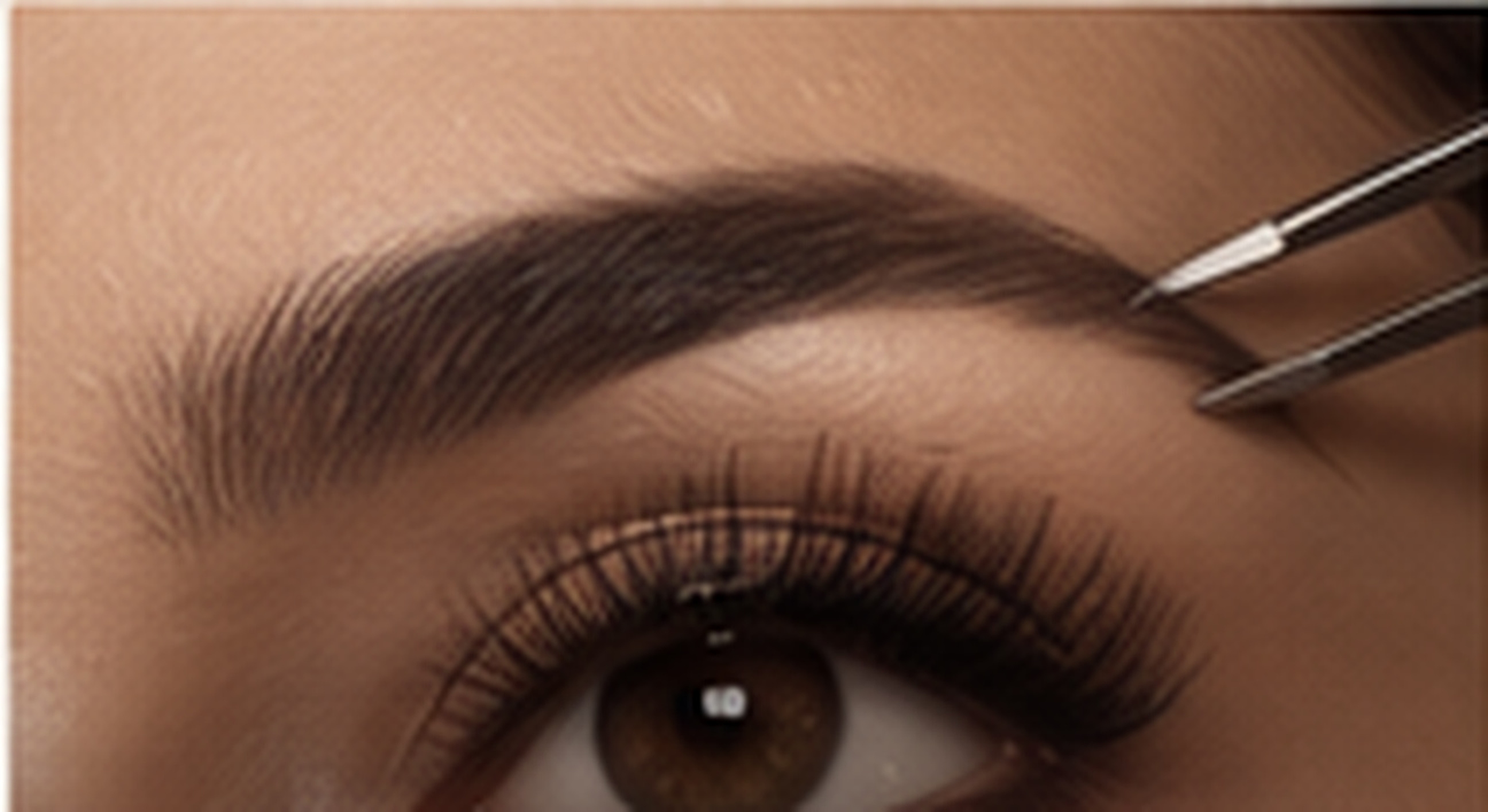 Lashes & Brows